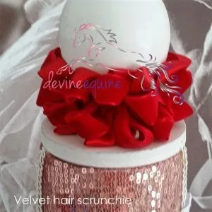 Hair Scrunchie 2R