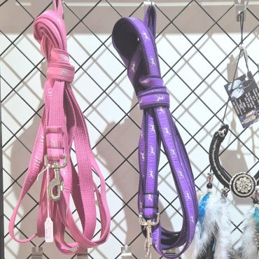 LUNGE LEAD - PURPLE