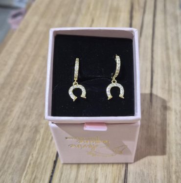 Horseshoe Gold Earrings