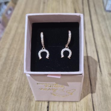 Horseshoe Silver Earrings