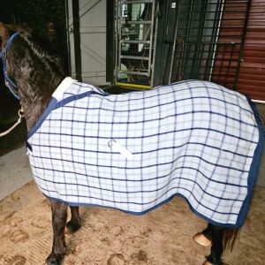 MINI SIZE KERSEY WOOL RUG