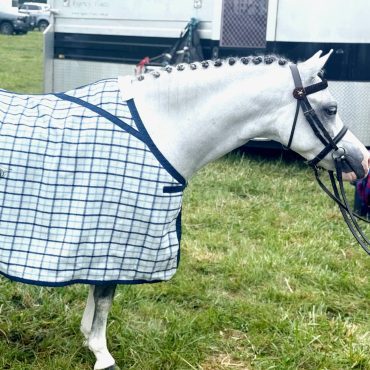 KERSEY WOOL RUG 4'9"