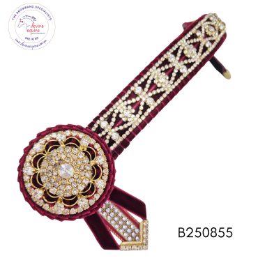 Burgundy B250855