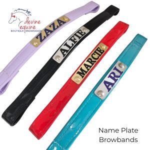 Name Plate NP241216