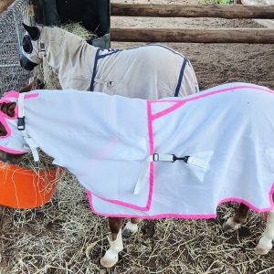 FLAGCLOTH MINI RUG & HOOD 3'9" Pink binding