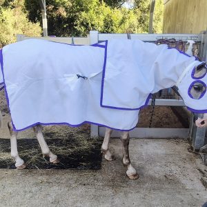 FLAGCLOTH MINI RUG & HOOD 3'9" PURPLE binding