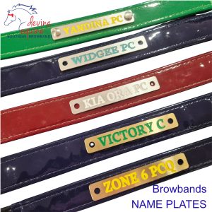 BRANDED NAME PLATE  NP260318