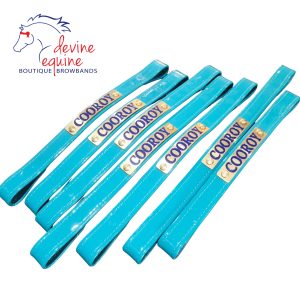 BRANDED NAME PLATE  NP260318