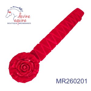 Mini Ribbon MR260201