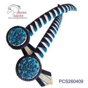 Cooroy Pony Club  PCS260409
